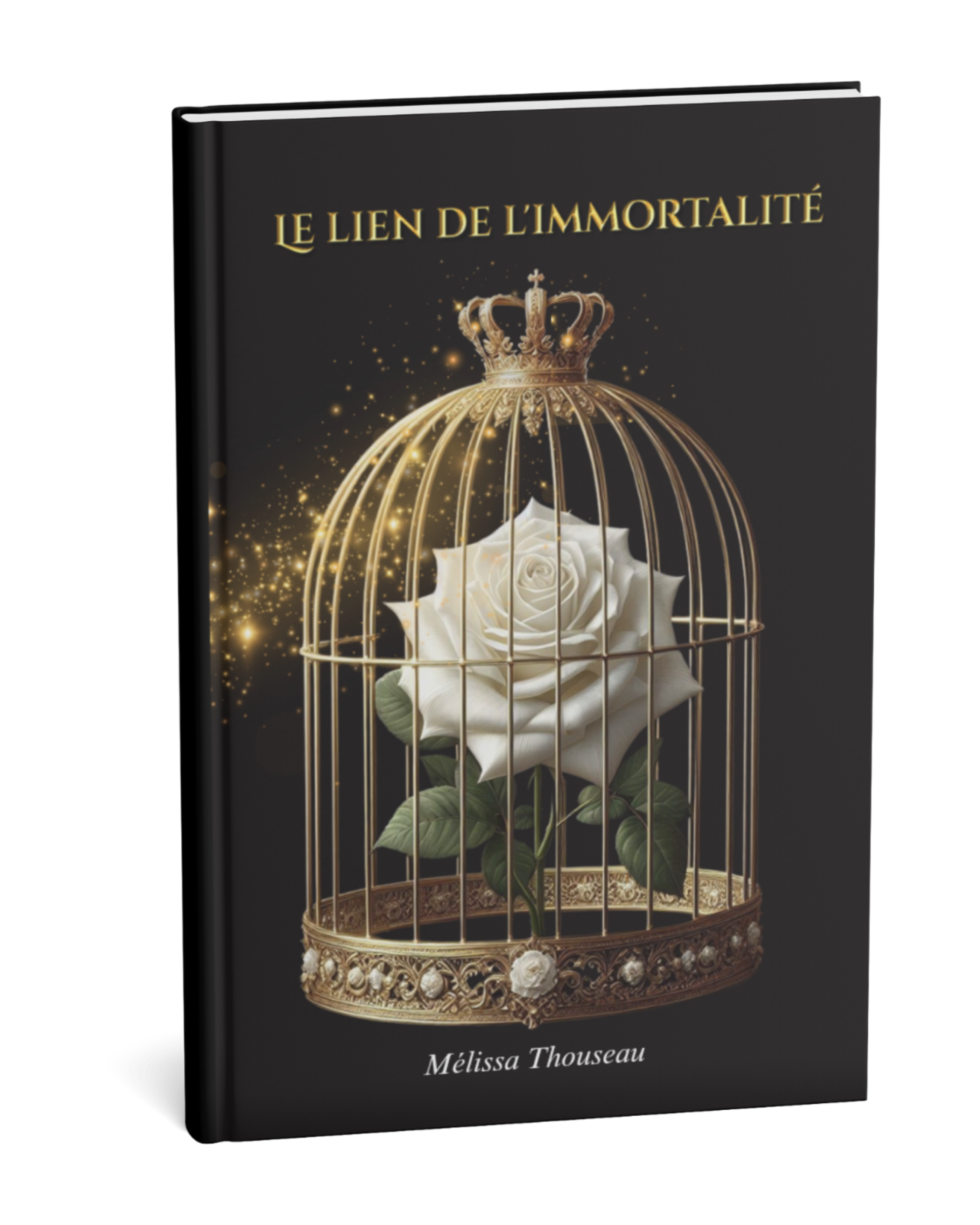 Couverture - Le lien de l'immortalité